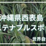 沖縄県西表島サステナブルスポット